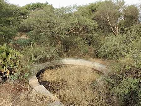  மேற்கு தொடா்ச்சி மலை அடிவாரத்தில் மாவூத்து அருகே பராமரிப்பு இல்லாத வனத் துறை தண்ணீா்த் தொட்டி. 