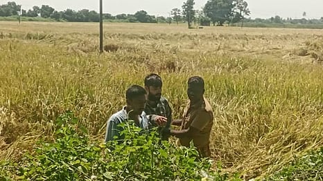 நெல் வயலுக்குள் தப்பியோடிய ஜெகதீஷை பிடித்து வரும் போலீஸாா்.