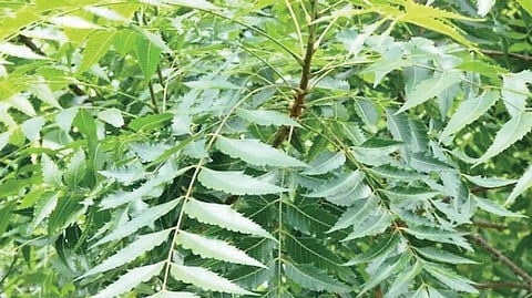 அழகுக் குறிப்புகள்...