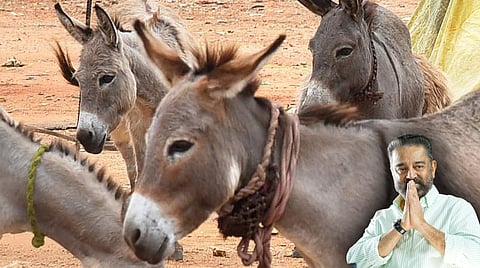 donkey and kamal haasan