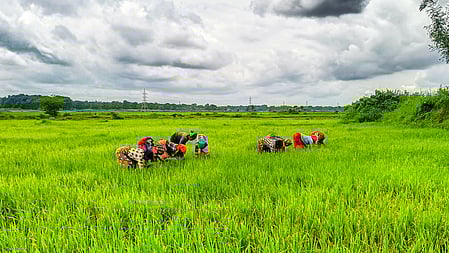 நிலம் கற்று நேரம் காப்போம்...