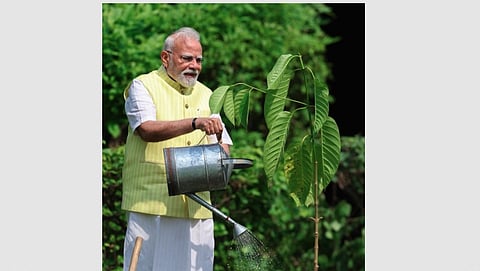 PM Modi Plants Kadamb Sapling Gifted By King Charles At His Residence  