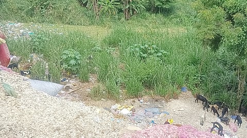 வைகை அணையின் பின்புறம் உள்ள வடுகபட்டி கரட்டுப் பகுதியில் கொட்டப்பட்ட கழிவுகள்