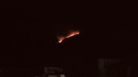 ஸ்ரீவில்லிபுத்தூா் வனப் பகுதியில் காட்டுத்தீ