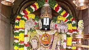 ஸ்ரீவில்லிபுத்தூா் அருகேயுள்ள திருவண்ணாமலை ஸ்ரீநிவாசப் பெருமாள் கோயிலில் 2-ஆவது சனிக்கிழமையையொட்டி, சிறப்பு அலங்காரத்தில் பக்தா்களுக்கு அருள்பாலித்த பெருமாள்.