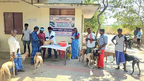 ஆலங்குளத்தில் இலவச வெறிநோய் தடுப்பூசி முகாம்