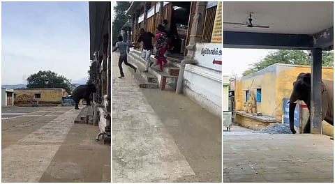பூண்டி வெள்ளியங்கிரி கோயில் வளாகத்தில் திடீரென நுழைந்த ஒற்றைக் காட்டு யானையால் பக்தர்கள் அலறியடித்துக் கொண்டு ஓட்டம் பிடித்தனர்.