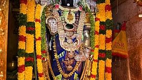 ஸ்ரீவில்லிபுத்தூா் அருகேயுள்ள திருவண்ணாமலை ஸ்ரீநிவாசப் பெருமாள் கோயிலில் சனிக்கிழமை சிறப்பு அலங்காரத்தில் பக்தா்களுக்கு அருள்பாலித்த பெருமாள்.