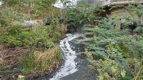 வயல்களுக்குள் ஆறாக பாயும் பாதாள சாக்கடை கழிவுநீா்! ராமையன்பட்டி விவசாயிகள் கடும் அவதி