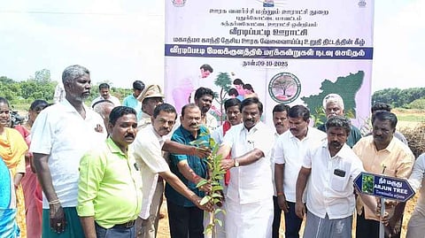 கந்தா்வகோட்டையில் மரக்கன்று நடும் பணி