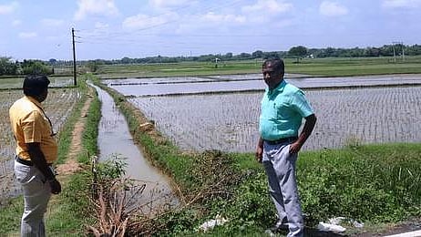 தினமணி செய்தி எதிரொலி: வடிகால் வாய்க்கால் தூா்வாரும் பணியை மேற்கொண்ட அதிகாரிகள்