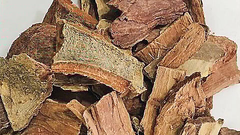 மருதம் பட்டை