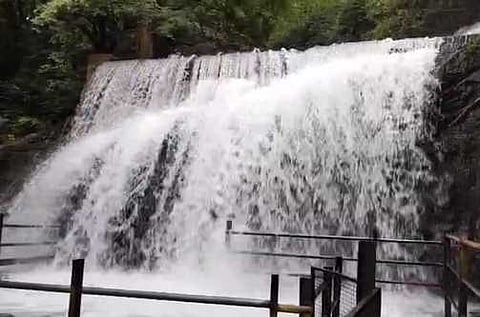 சுருளி அருவி