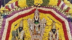 சிறப்பு அலங்காரத்தில் திம்மாம்பேட்டை பிரசன்ன வெங்கடேச பெருமாள். 
