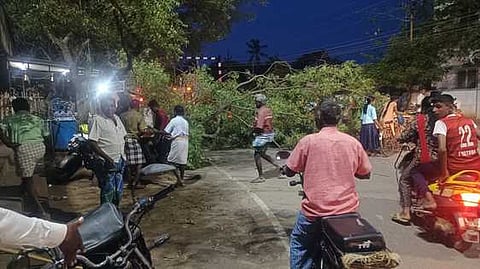 மரக்கிளைகளை அகற்றும் பணியில் ஈடுபட்டோா்