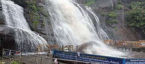  குற்றாலம் பேரருவியில் சீறிப்பாய்ந்த வெள்ளம்.