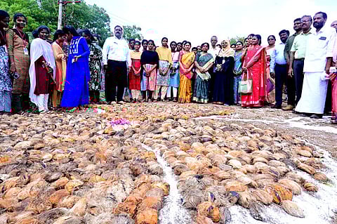      திருப்பத்தூா் அருகே வேட்டங்குடி பறவைகள் சரணாலயத்தில் செவ்வாய்க்கிழமை நடைபெற்ற பனை விதை நடும் விழாவில் பங்கேற்ற மாவட்ட ஆட்சியா் கா.பொற்கொடி உள்ளிட்டோா்.