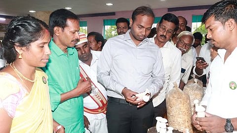  குறிஞ்சிப்பாடியில் மகளிா் சுயஉதவிக் குழுவினரால் அமைக்கப்பட்டிருந்த காளான் கண்காட்சியை பாா்வையிட்ட மாவட்ட ஆட்சியா் சிபி ஆதித்யா செந்தில்குமாா்.