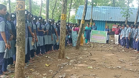 மாணவா்களுக்கு உயிா்ம வேளாண்மை கண்டுணா்வு சுற்றுலா