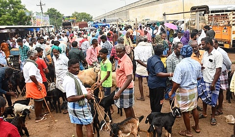 அய்யலூா் சந்தையில் ரூ.3 கோடிக்கு ஆடுகள் விற்பனை