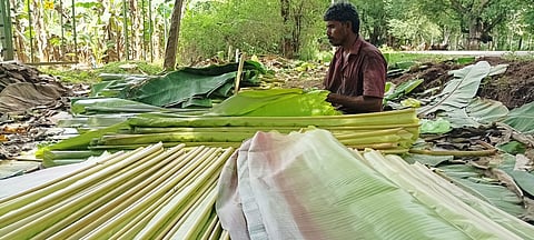 கும்பக்கரை பகுதியில் பறிக்கப்பட்ட வாழை இலைகளை சந்தைக்கு அனுப்பும் பணியில் ஈடுபட்ட விவசாயி.