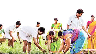 குறைந்தது விவசாயிகளுக்கான சில்லறை பணவீக்கம்