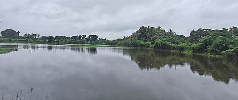 கும்பகோணம் பழவத்தான் கட்டளை வாய்க்கால் அருகே உள்ள நெல் வயல்களில் புகுந்துள்ள மழை நீா். 