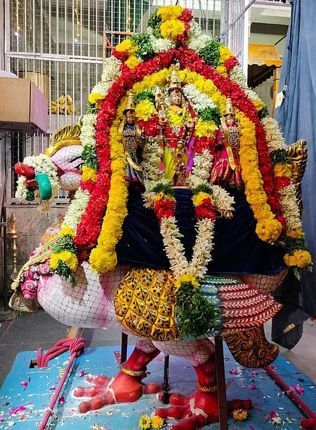 கந்தசஷ்டிப் பெருவிழாவையொட்டி புதன்கிழமை அன்னவாகனத்தில் வள்ளி, தெய்வானை சமேதராக அருள்பாலித்த பழமுதிா்ச்சோலை முருகப் பெருமான் (உத்ஸவா்). 