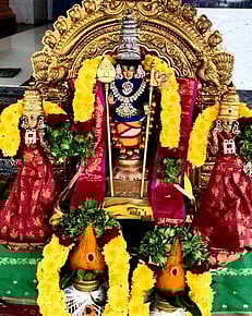 சிறப்பு அலங்காரத்தில் அக்கமாபேட்டை சுப்பிரமணியா் உடனமா் ஸ்ரீ வள்ளி, தெய்வானை உற்வசமூா்த்தி. 