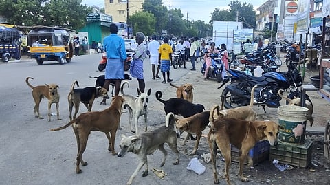 கோப்புப் படம்