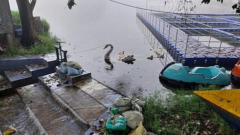 கொடைக்கானலில் கடந்த சில நாள்களாகப் பெய்து வரும் பலத்த மழையால் நிரம்பி வழிந்தோடும் நட்சத்திர ஏரி. 