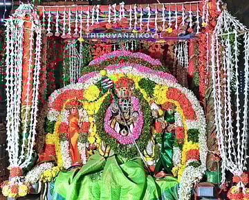 திருவானைக்காவல் கோயிலில் வள்ளி,தெய்வானையுடன் சிறப்பு அலங்காரத்தில்  புதன்கிழமை அருள்பாலித்த ஆறுமுக பெருமான்.