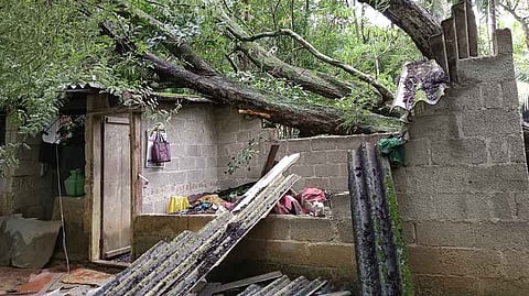 குமரி மாவட்டத்தில் மழையால் 6 வீடுகள் இடிந்தன; மூதாட்டி காயம்