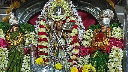 சிறப்பு அலங்காரத்தில் வள்ளி தெய்வானை சமேத முருகப் பெருமான்.