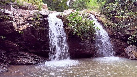 ஒடுகத்தூா் வனப்பகுதியில் நீா் வீழ்ச்சியில் கொட்டும் நீா்.