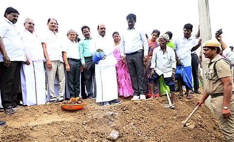 பனை விதைகள் நடும் பணி: அமைச்சா் தொடங்கிவைத்தாா்