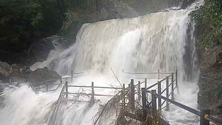 சுருளி அருவியில் சனிக்கிழமை ஏற்பட்ட வெள்ளப் பெருக்கு