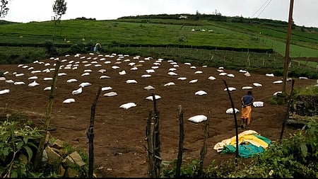 உரிமம் பெறாமல் விதைகளை விற்றால் கடும் நடவடிக்கை