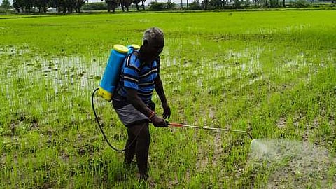  கோப்புப்படம். 