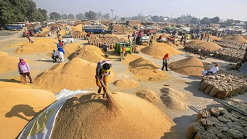 வீணாகும் விளைச்சல்!