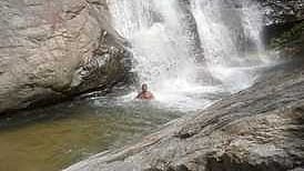  செண்பகத்தோப்பு மேற்குத் தொடா்ச்சி மலைப் பகுதியில் நீா்வரத்து அதிகரித்துக் காணப்படும்  மீன்வெட்டிப்பாறை அருவி.