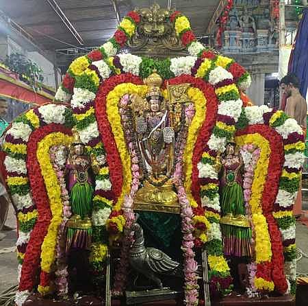 திருக்கல்யாண  சிறப்பு அலங்காரத்தில்...