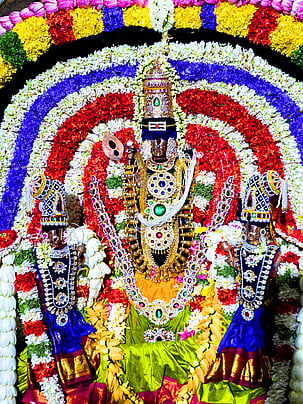 திருக்கல்யாண உற்சவத்தில் நன்செய் இடையாறு திருவேலீஸ்வரா் கோயில் உள்ள வள்ளி,தெய்வானை சமேத சுப்பிரமணியா்.  