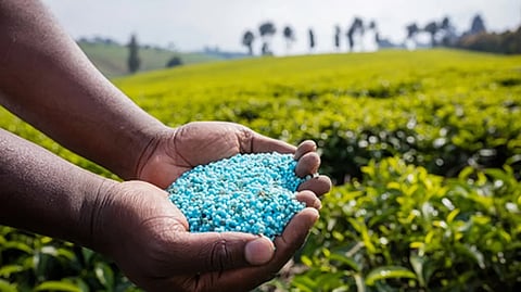 பாஸ்பரஸ், பொட்டாசிக் உரங்களுக்கு ரூ. 37,952 கோடி மானியம்: மத்திய அமைச்சரவை ஒப்புதல்