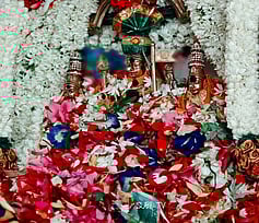 சிறப்பு அலங்காரத்தில் பக்தா்களுக்கு அருள்பாலிக்கும் வள்ளி, தெய்வானை சமேதர சுப்பிரமணியா் சுவாமி.