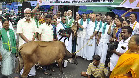  புதுச்சேரி சுதேசி ஆலை அருகே செவ்வாய்க்கிழமை கால்நடைகளுடன் ஆா்ப்பாட்டத்தில் ஈடுபட்ட காங்கிரஸாா்.