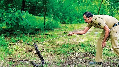 கோப்புப் படம்