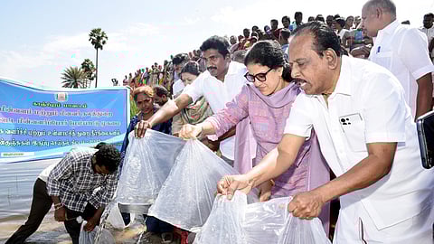 ஆலப்பாக்கம் சித்தேரியில்  மீன்குஞ்சுகளை விட்ட  ஆட்சியா் கலைச்செல்வி மோகன். உடன் எம்.பி. க.செல்வம், எம்எல்ஏ க.சுந்தா் உள்ளிட்டோா்.