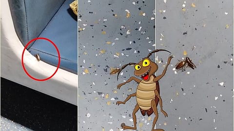 இருக்கையின் கீழிருந்த கரப்பான் பூச்சிகள்.