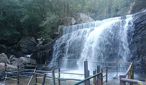 suruli falls